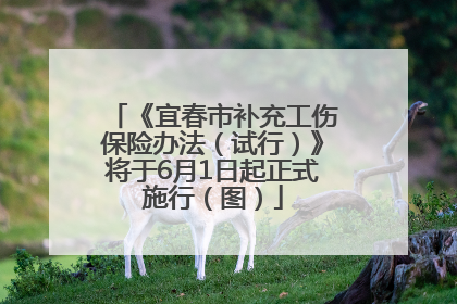 《宜春市补充工伤保险办法（试行）》将于6月1日起正式施行（图）