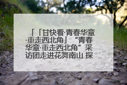 「甘快看·青春华章·重走西北角」“青春华章·重走西北角”采访团走进花舞南山 探寻天水乡村振兴之路