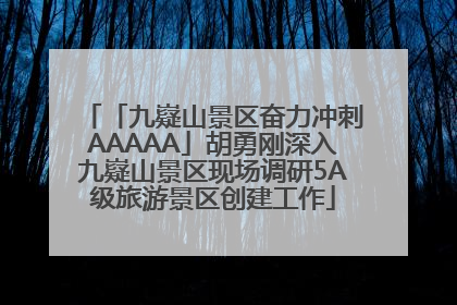 「九嶷山景区奋力冲刺AAAAA」胡勇刚深入九嶷山景区现场调研5A级旅游景区创建工作