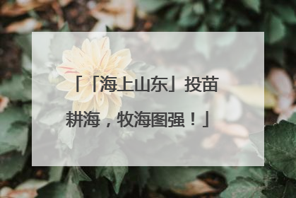 「海上山东」投苗耕海，牧海图强！