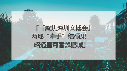 「聚焦深圳文博会」两地“牵手”结硕果 昭通皇菊香飘鹏城