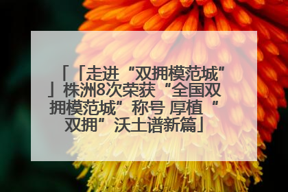 「走进“双拥模范城”」株洲8次荣获“全国双拥模范城”称号 厚植“双拥”沃土谱新篇