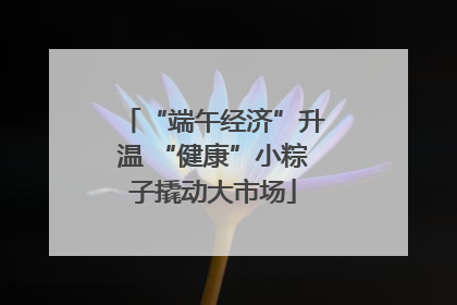 “端午经济”升温 “健康”小粽子撬动大市场