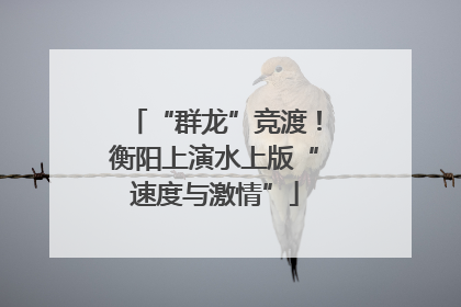 “群龙”竞渡！衡阳上演水上版“速度与激情”