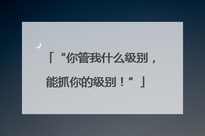 “你管我什么级别，能抓你的级别！”