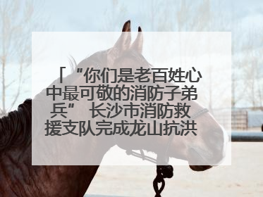 “你们是老百姓心中最可敬的消防子弟兵” 长沙市消防救援支队完成龙山抗洪使命归队