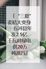 “三夏”麦秸大变身：五河县年发2.5亿千瓦时绿电 供20万吨蒸汽