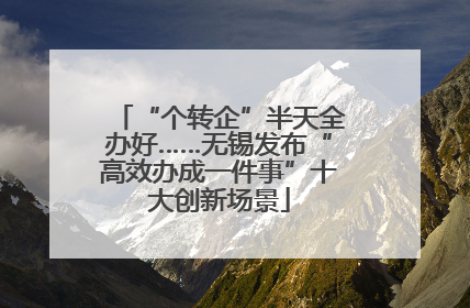 “个转企”半天全办好……无锡发布“高效办成一件事”十大创新场景