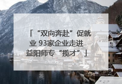 “双向奔赴”促就业 93家企业走进益阳师专“揽才”