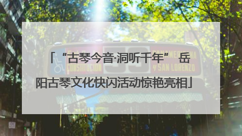 “古琴今音·洞听千年” 岳阳古琴文化快闪活动惊艳亮相
