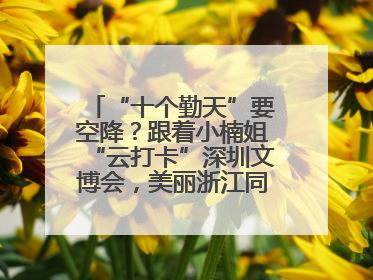 “十个勤天”要空降？跟着小楠姐“云打卡”深圳文博会，美丽浙江同步直播