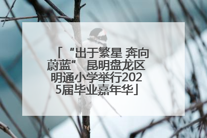 “出于繁星 奔向蔚蓝” 昆明盘龙区明通小学举行2025届毕业嘉年华