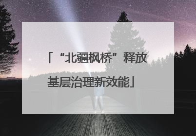 “北疆枫桥”释放基层治理新效能