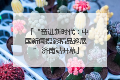 “奋进新时代：中国新闻摄影精品巡展” 济南站开幕