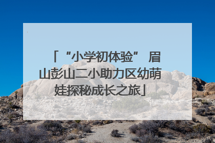 “小学初体验” 眉山彭山二小助力区幼萌娃探秘成长之旅