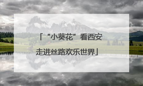 “小葵花”看西安走进丝路欢乐世界