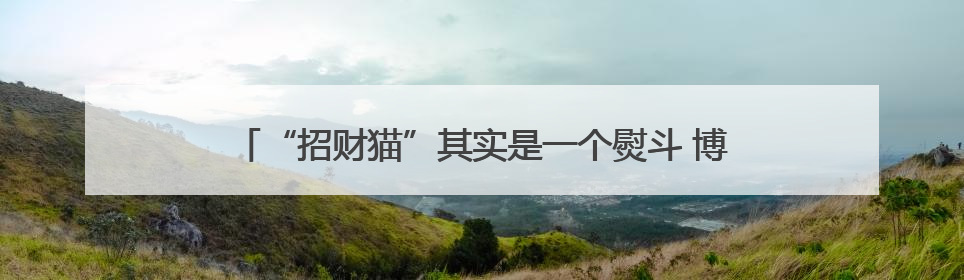 “招财猫”其实是一个熨斗 博物馆回应：是猫是虎，见仁见智