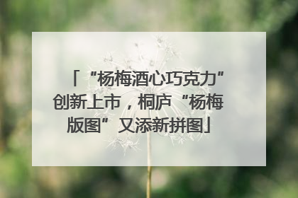 “杨梅酒心巧克力”创新上市，桐庐“杨梅版图”又添新拼图