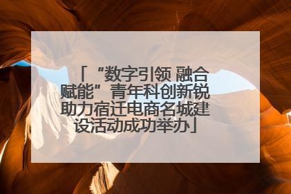 “数字引领 融合赋能”青年科创新锐助力宿迁电商名城建设活动成功举办