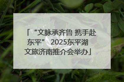 “文脉承齐鲁 携手赴东平” 2025东平湖文旅济南推介会举办
