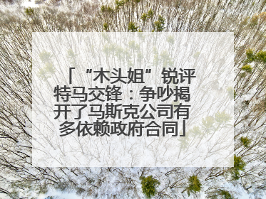“木头姐”锐评特马交锋：争吵揭开了马斯克公司有多依赖政府合同