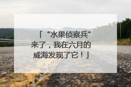 “水果侦察兵”来了，我在六月的威海发现了它！