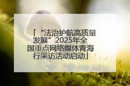 “法治护航高质量发展”2025年全国重点网络媒体青海行采访活动启动