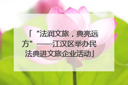 “法润文旅，典亮远方”——江汉区举办民法典进文旅企业活动