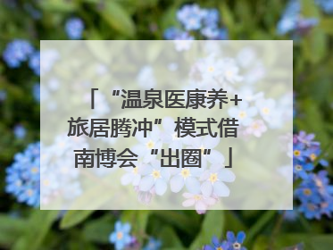 “温泉医康养+旅居腾冲”模式借南博会“出圈”