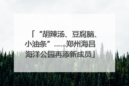 “胡辣汤、豆腐脑、小油条”……郑州海昌海洋公园再添新成员