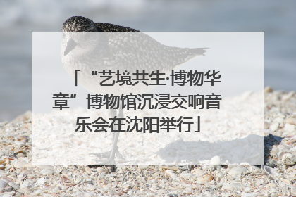 “艺境共生·博物华章”博物馆沉浸交响音乐会在沈阳举行