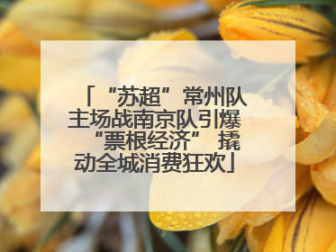 “苏超”常州队主场战南京队引爆“票根经济” 撬动全城消费狂欢