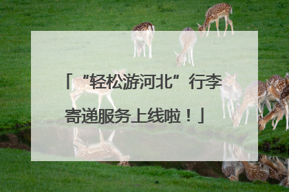 “轻松游河北”行李寄递服务上线啦！