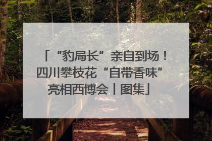 “豹局长”亲自到场！四川攀枝花“自带香味”亮相西博会丨图集
