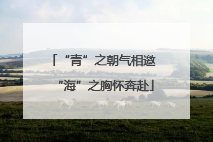 “青”之朝气相邀 “海”之胸怀奔赴