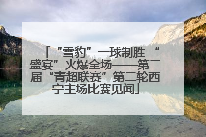 “雪豹”一球制胜 “盛宴”火爆全场——第二届“青超联赛”第二轮西宁主场比赛见闻
