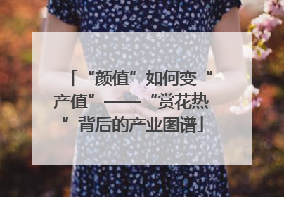 “颜值”如何变“产值”——“赏花热”背后的产业图谱