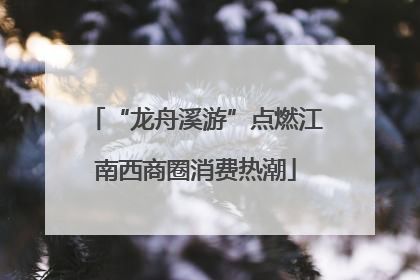 “龙舟溪游”点燃江南西商圈消费热潮