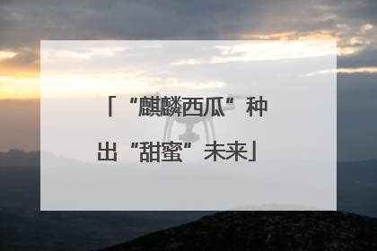 “麒麟西瓜”种出“甜蜜”未来