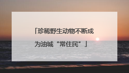珍稀野生动物不断成为油城“常住民”