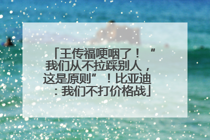 王传福哽咽了！“我们从不拉踩别人，这是原则”！比亚迪：我们不打价格战