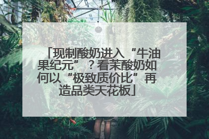 现制酸奶进入“牛油果纪元”？看茉酸奶如何以“极致质价比”再造品类天花板