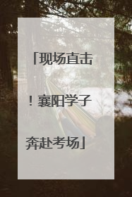 现场直击！襄阳学子奔赴考场