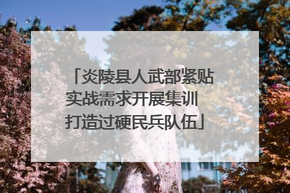 炎陵县人武部紧贴实战需求开展集训 打造过硬民兵队伍