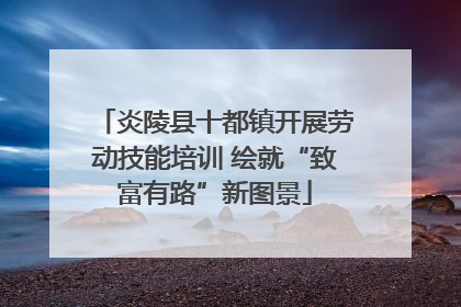 炎陵县十都镇开展劳动技能培训 绘就“致富有路”新图景