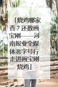 烧鸡哪家香？还数画宝刚——河南报业全媒体老字号行走进画宝刚烧鸡