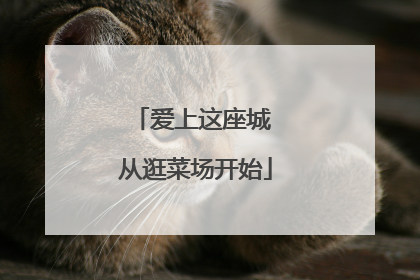 爱上这座城 从逛菜场开始