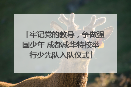 牢记党的教导，争做强国少年 成都成华特校举行少先队入队仪式