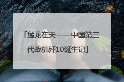 猛龙在天——中国第三代战机歼10诞生记