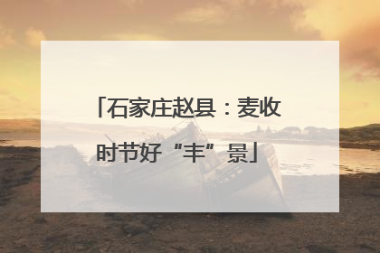 石家庄赵县：麦收时节好“丰”景